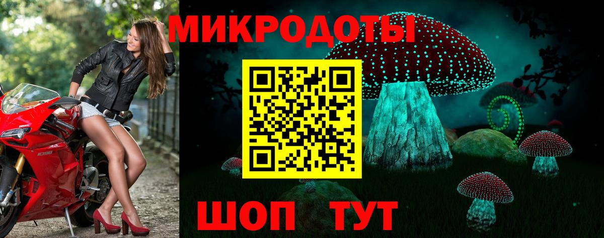 Псилоцибиновые грибы Psilocybe Челябинск